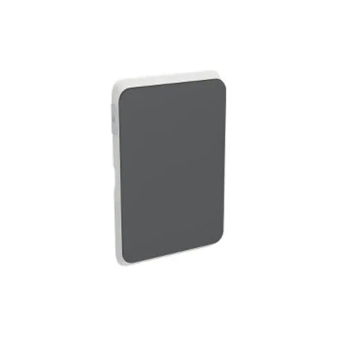 350C Switch Skin 1 Gang Blank