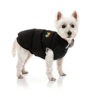 Ashbury Jacket - Black