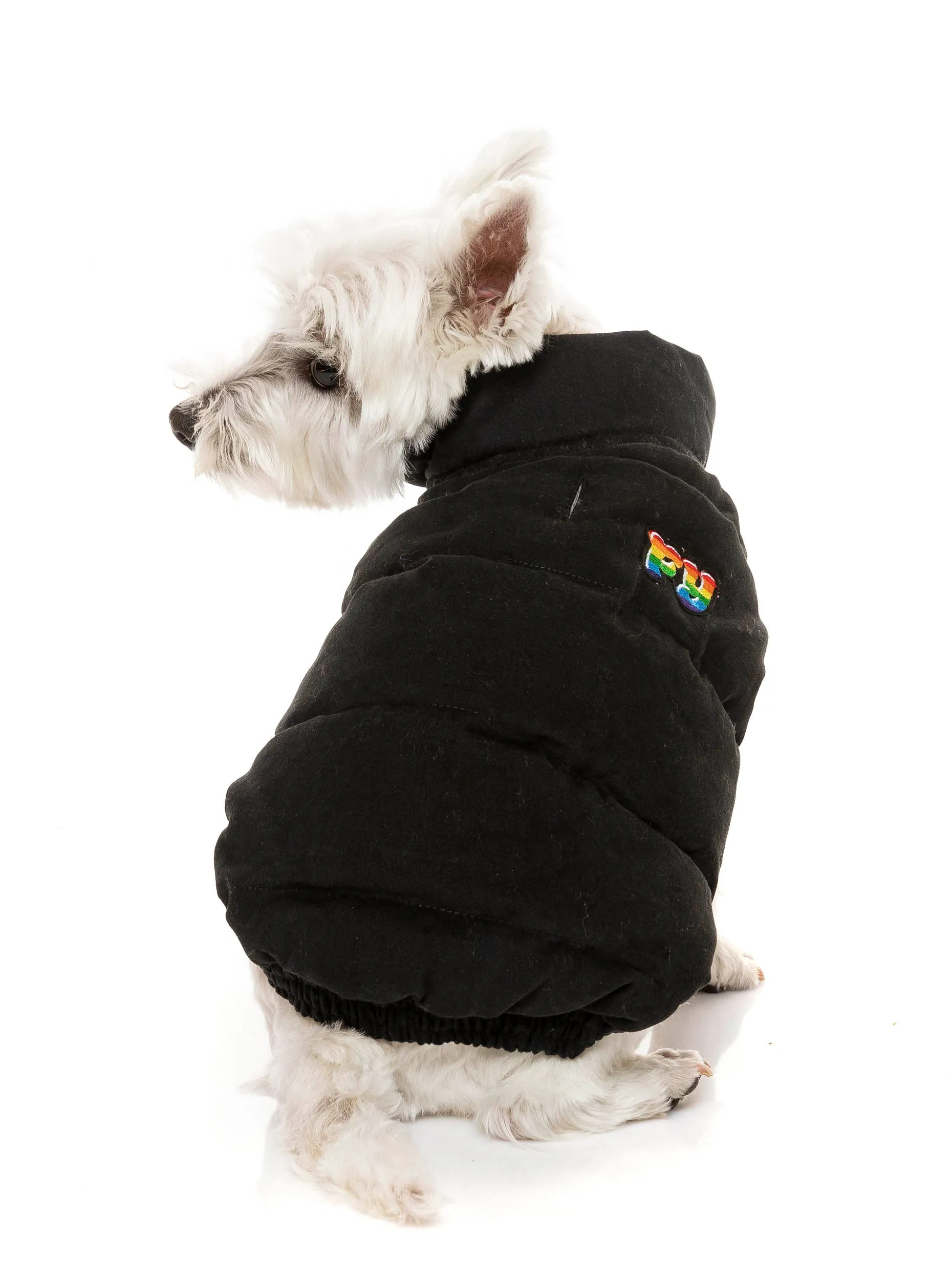 Ashbury Jacket - Black