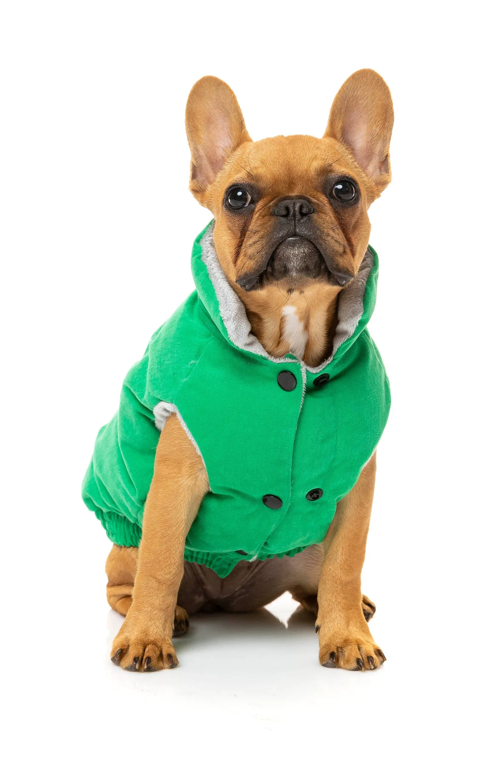 Ashbury Jacket - Green