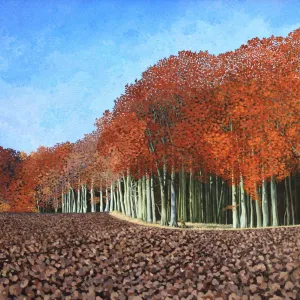 Autumn Beech Card