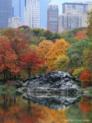 Autumn in New York