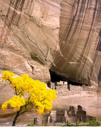 Autumn in the Canyon