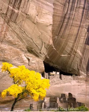 Autumn in the Canyon