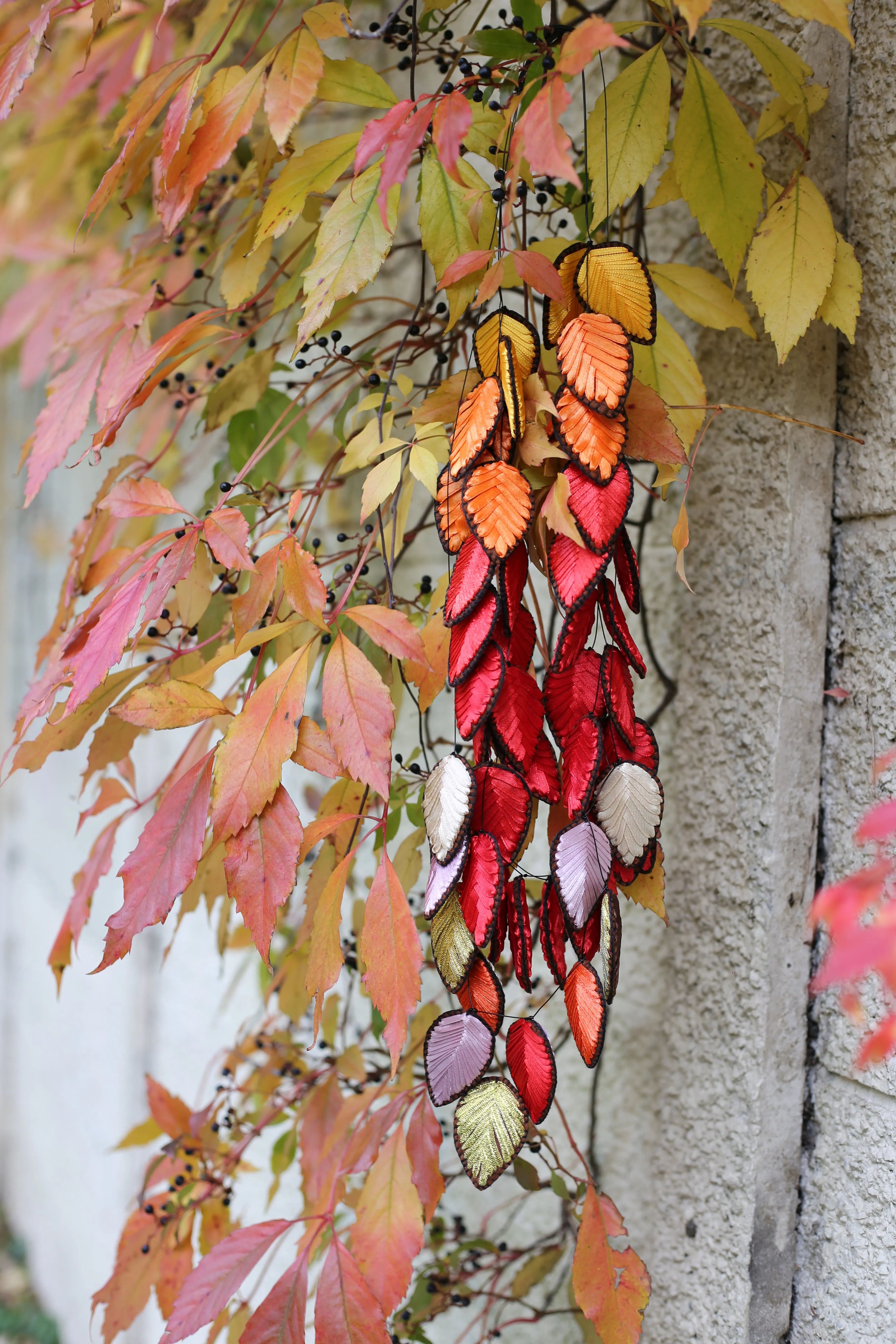 Autumn leaves 3