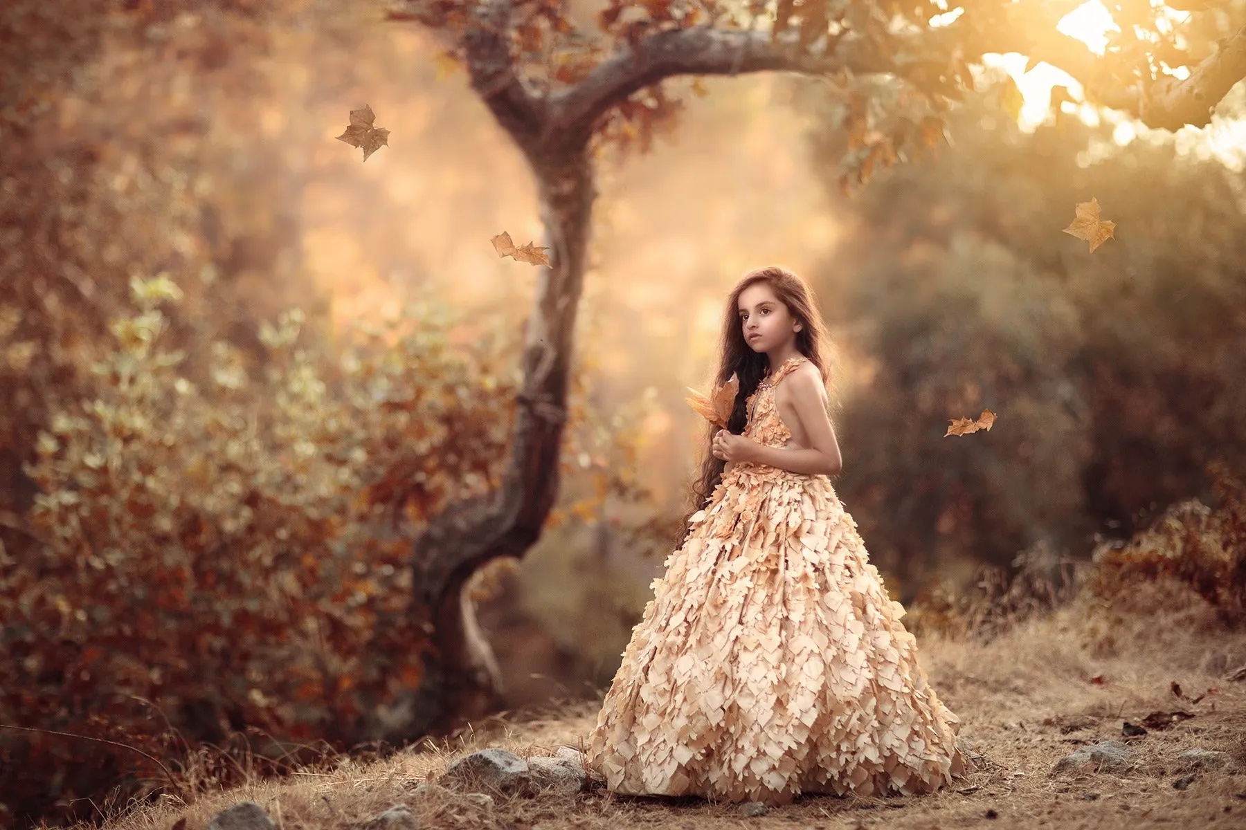 Autumn Leaves