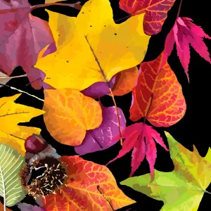 Autumn Leaves