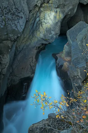 Blue and Gold