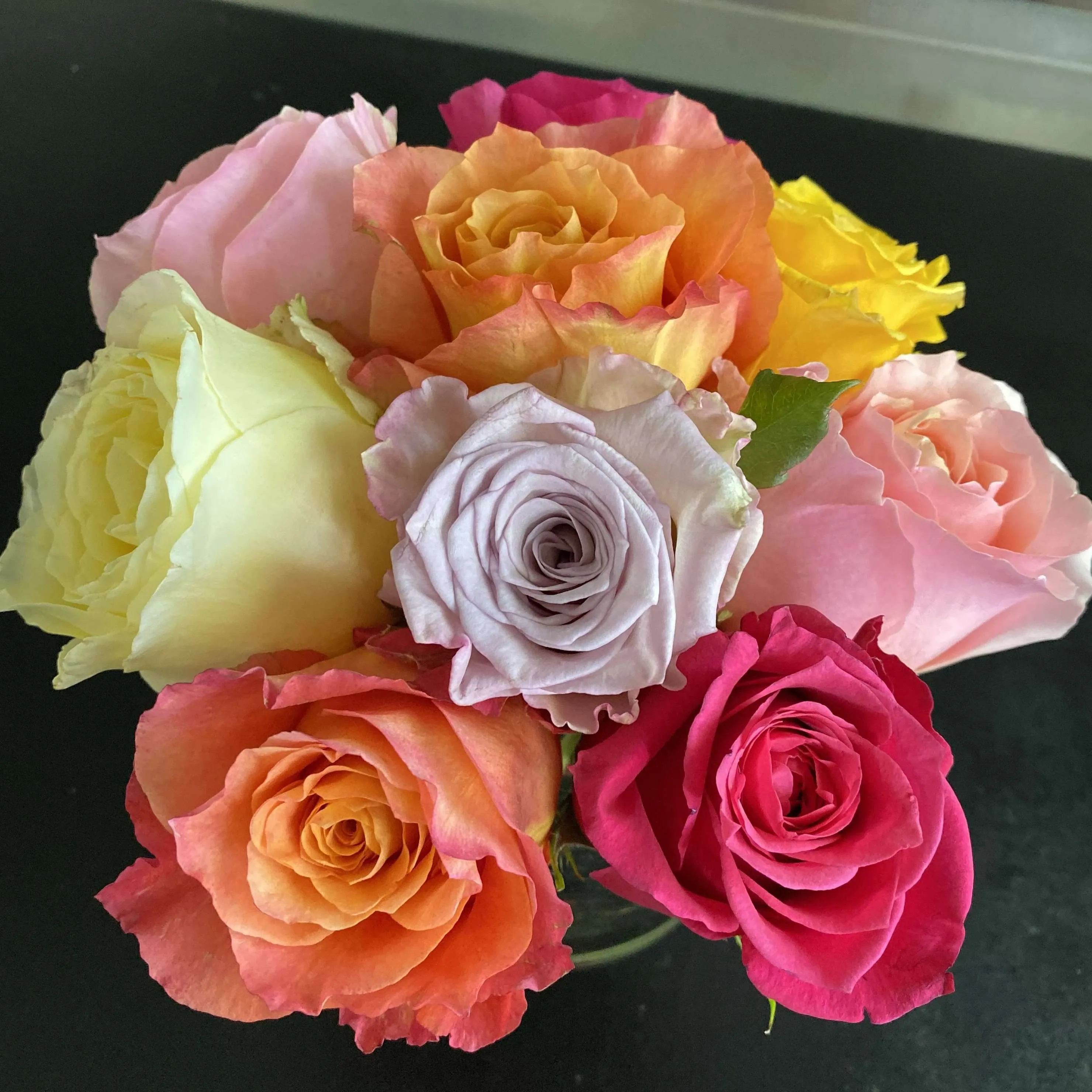 Bright Colors Roses