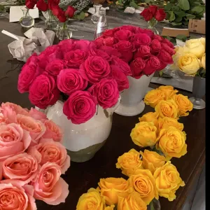 Bright Colors Roses