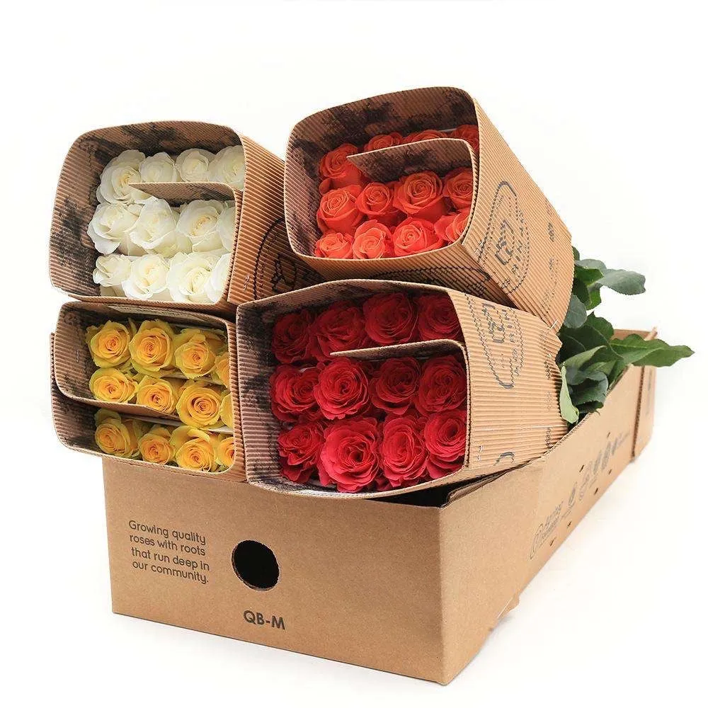 Bright Colors Roses