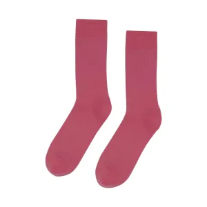 Calcetín Colorful Standard Clásico Orgánico - Raspberry Pink