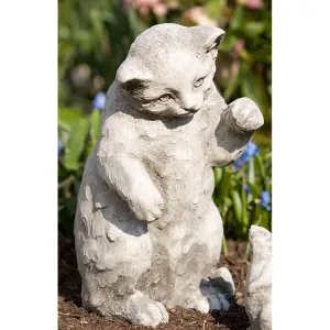Campania Playful Kitten