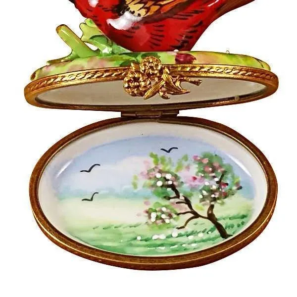 Cardinal Spring