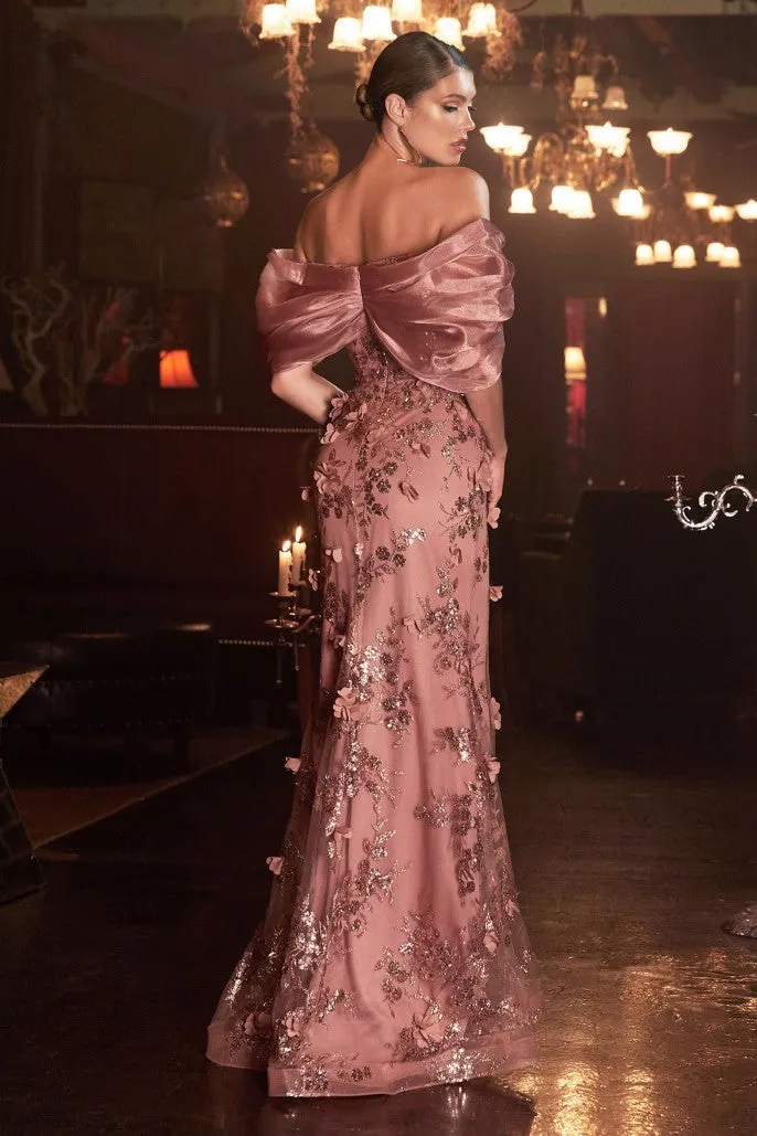 Cinderella Evening Dress J817