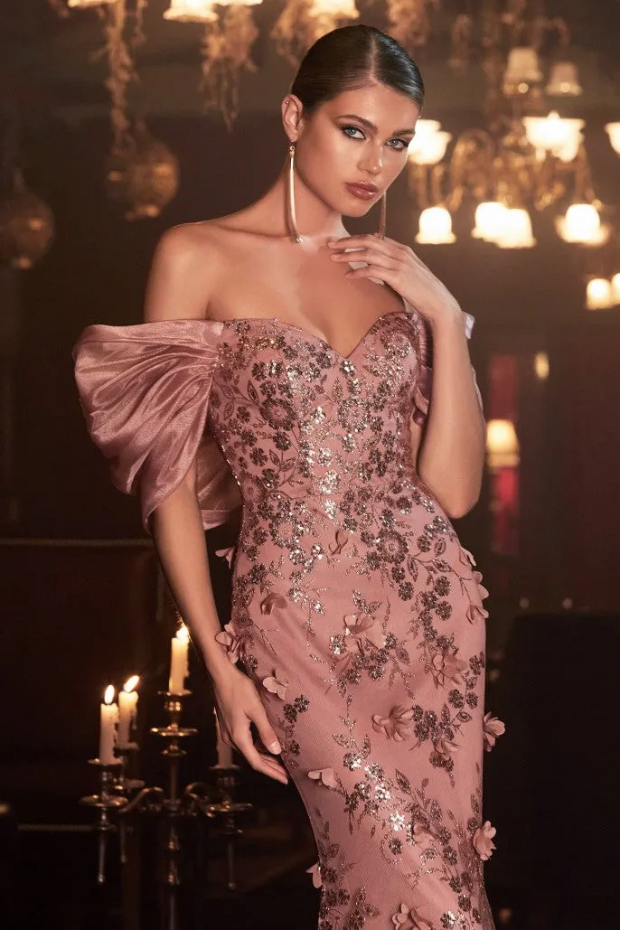 Cinderella Evening Dress J817