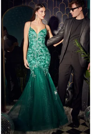 Cinderella Evening Dress Style CB112