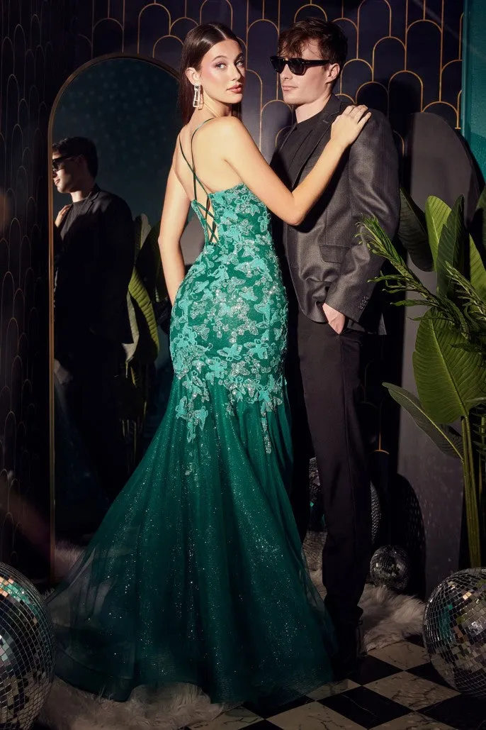 Cinderella Evening Dress Style CB112