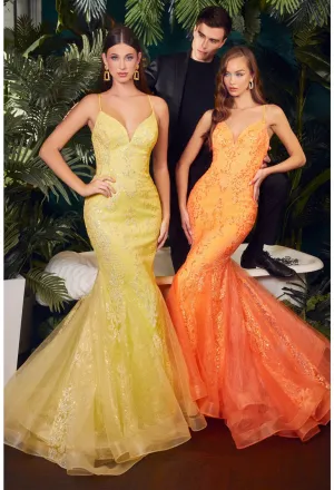 CINDERELLA EVENING GOWN CC2279