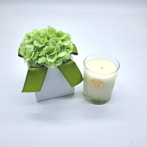 Citron 14 oz Flower Box Candle-$35.00 MIN 6