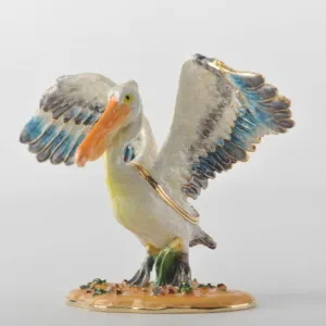 Colorful Pelican Bird