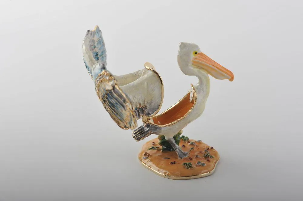 Colorful Pelican Bird