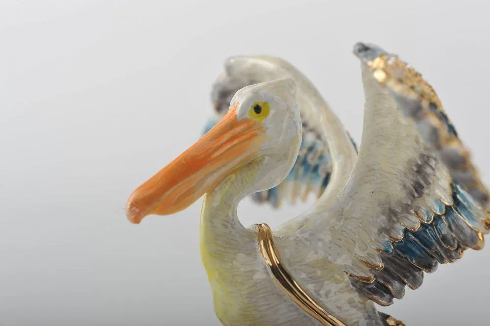 Colorful Pelican Bird