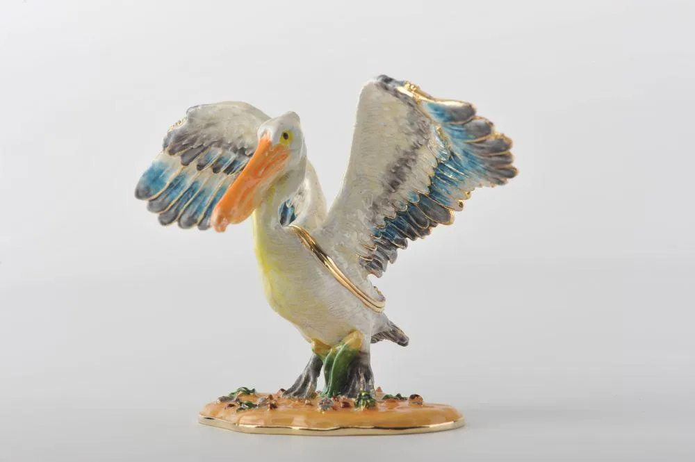 Colorful Pelican Bird