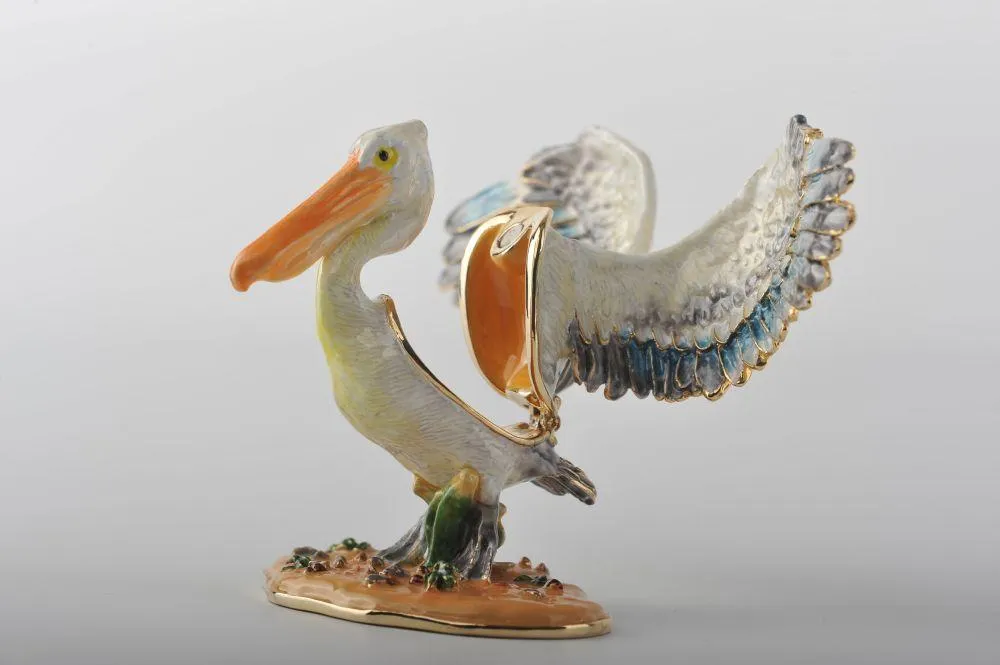 Colorful Pelican Bird