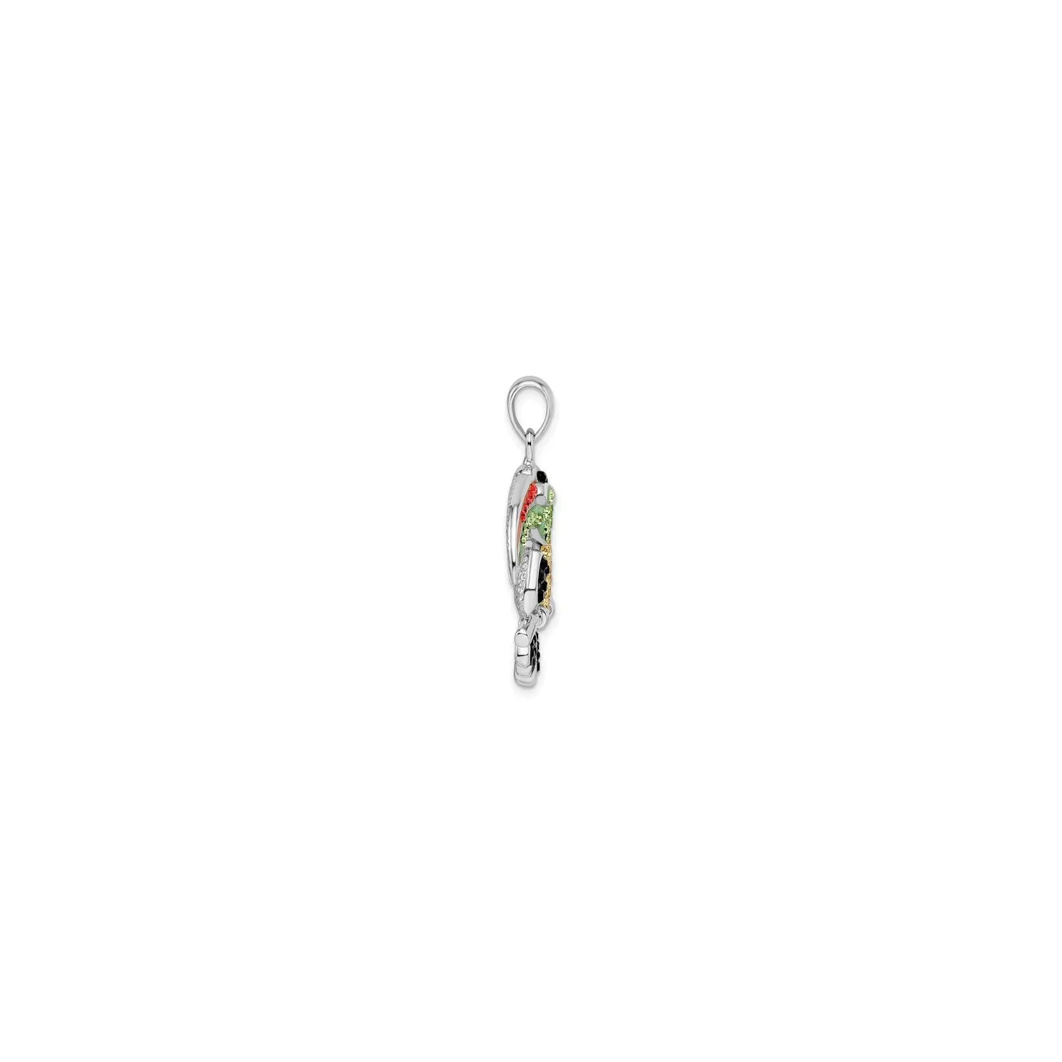Colorful Toucan Bird Pendant (Silver)