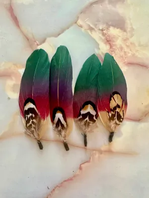 Combo Feather 58