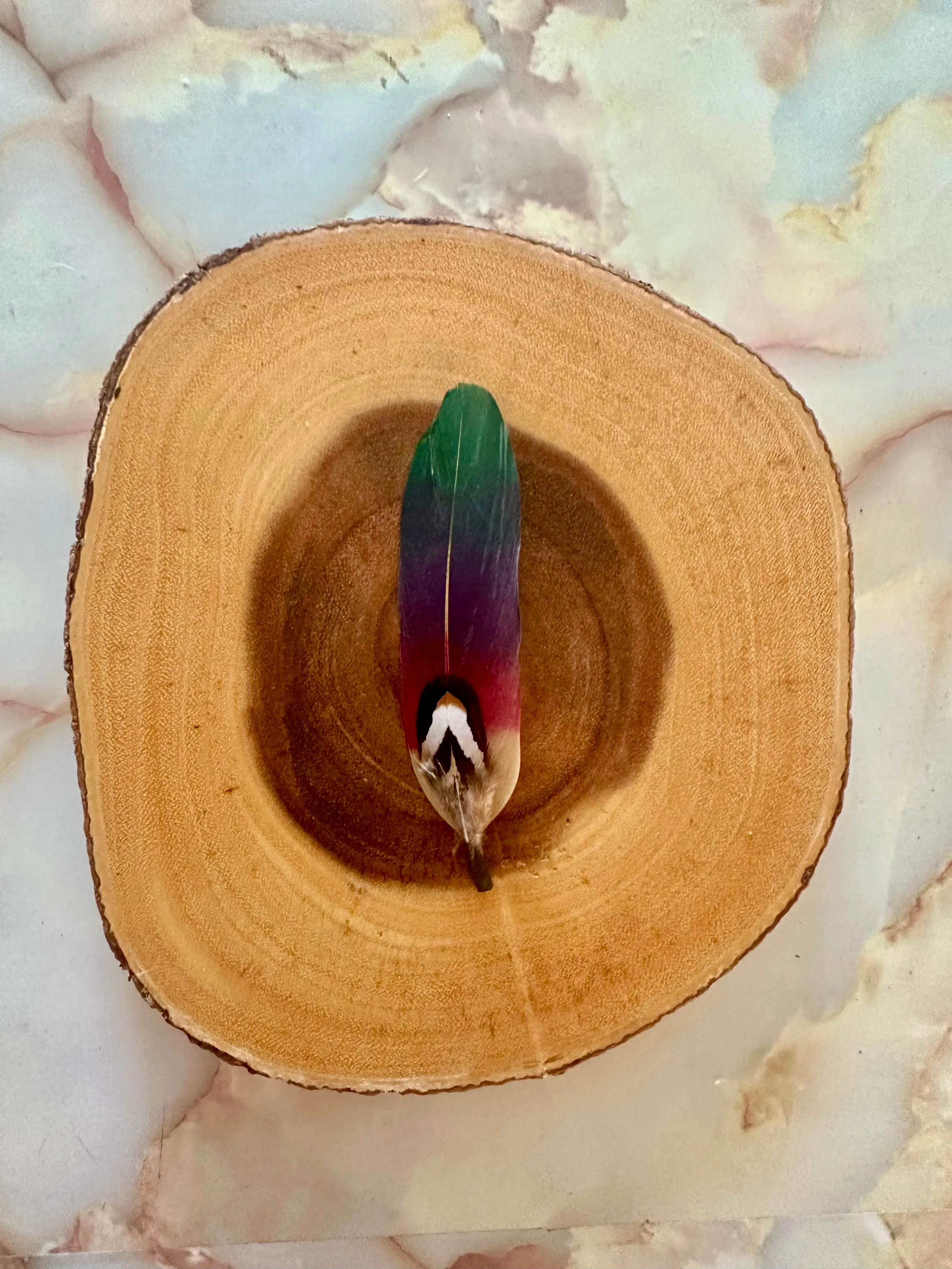 Combo Feather 58