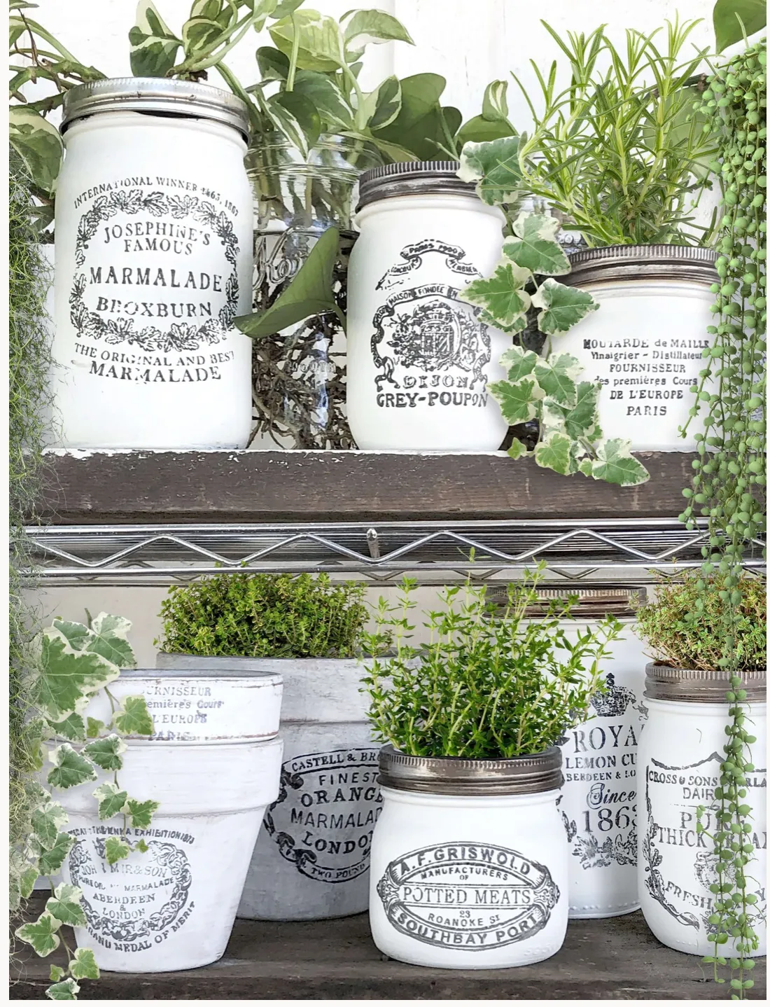 Crockery IOD Stamps