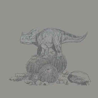 dino wallpaper