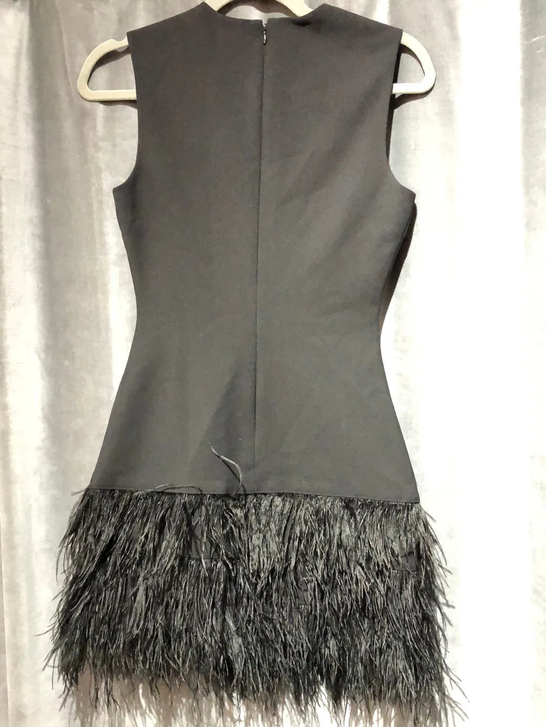 Elizabeth and James Black Sleeveless Feather Bottom Mini Dress