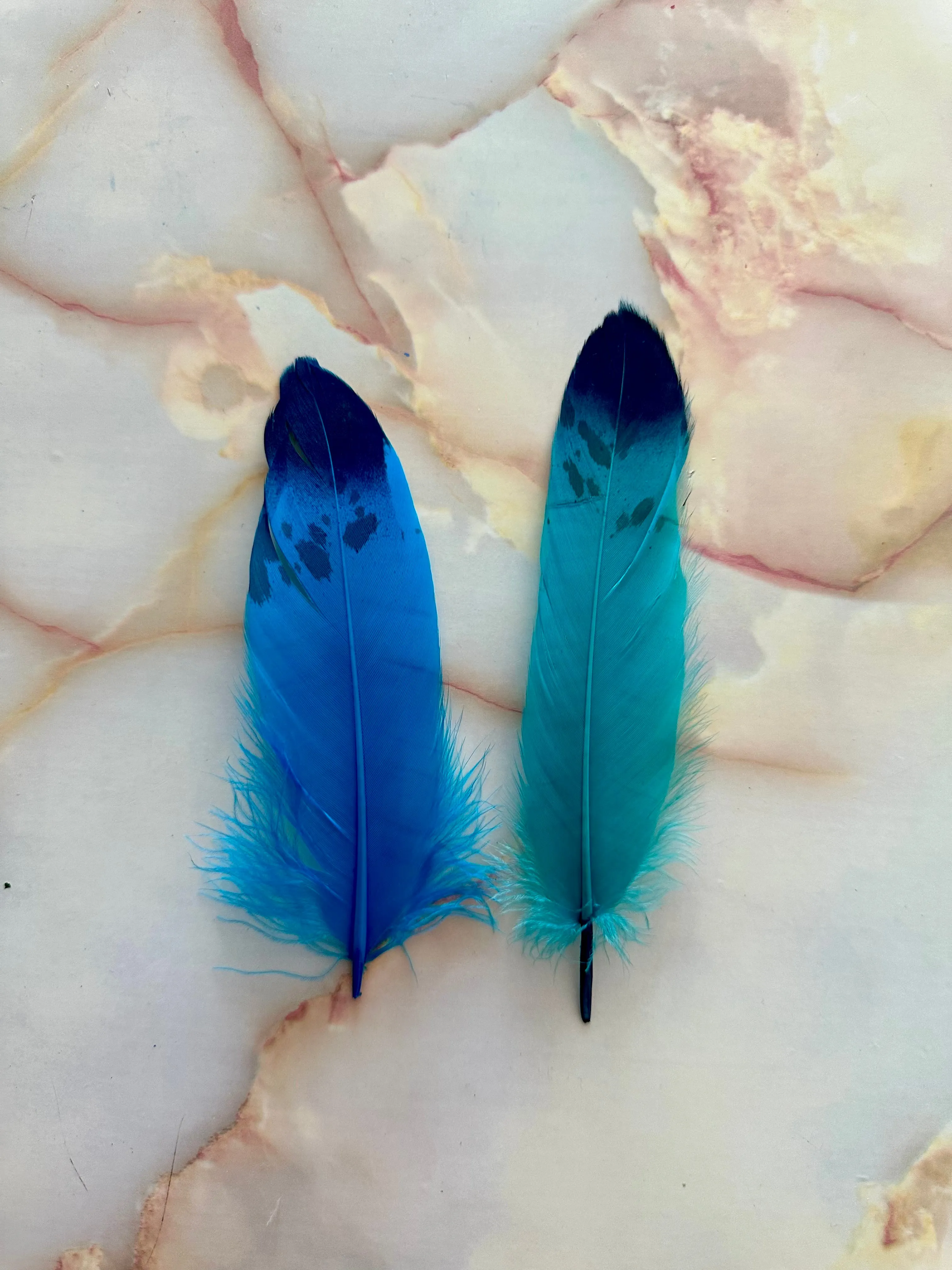 Feather 58