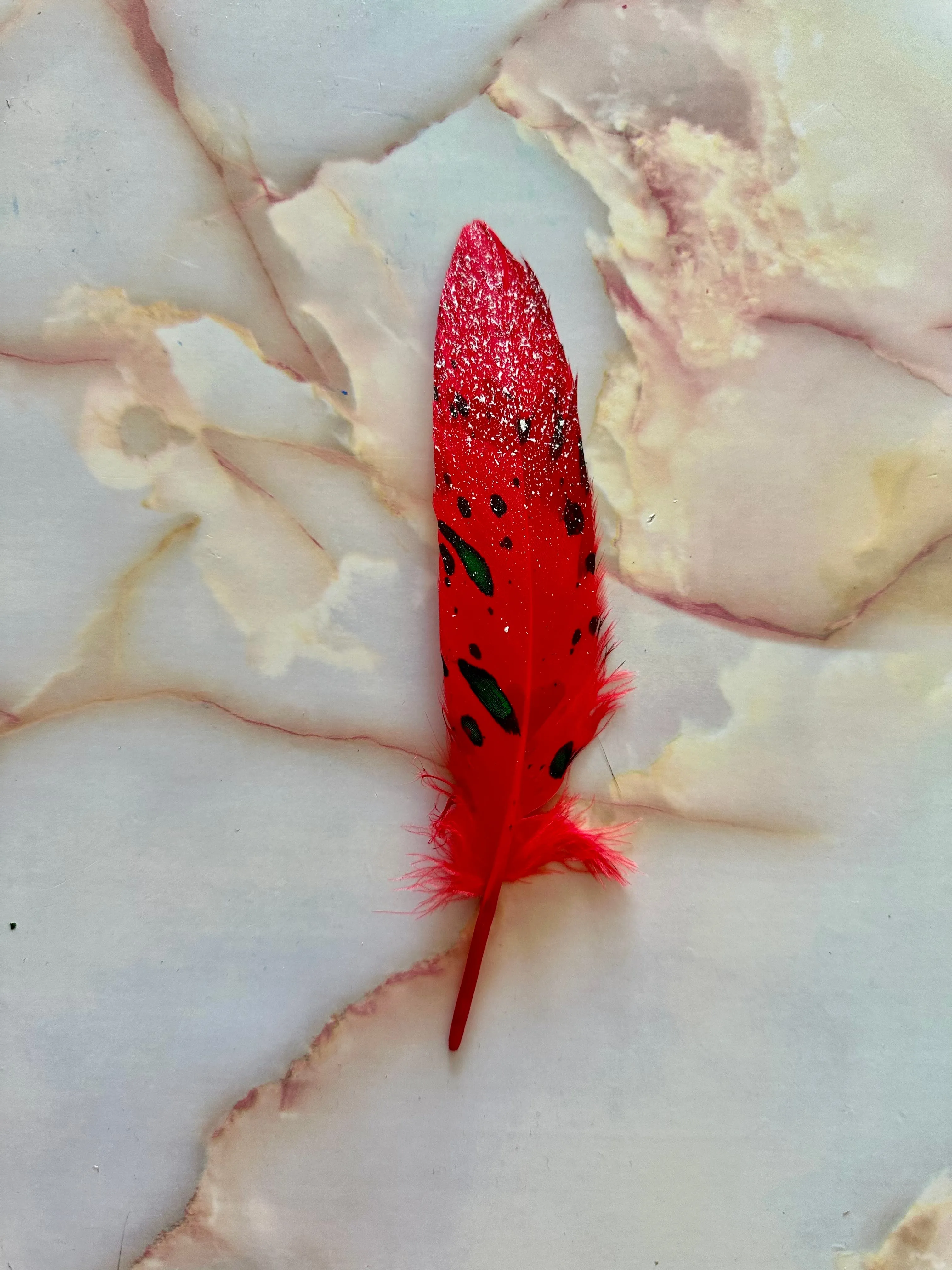 Feather 61