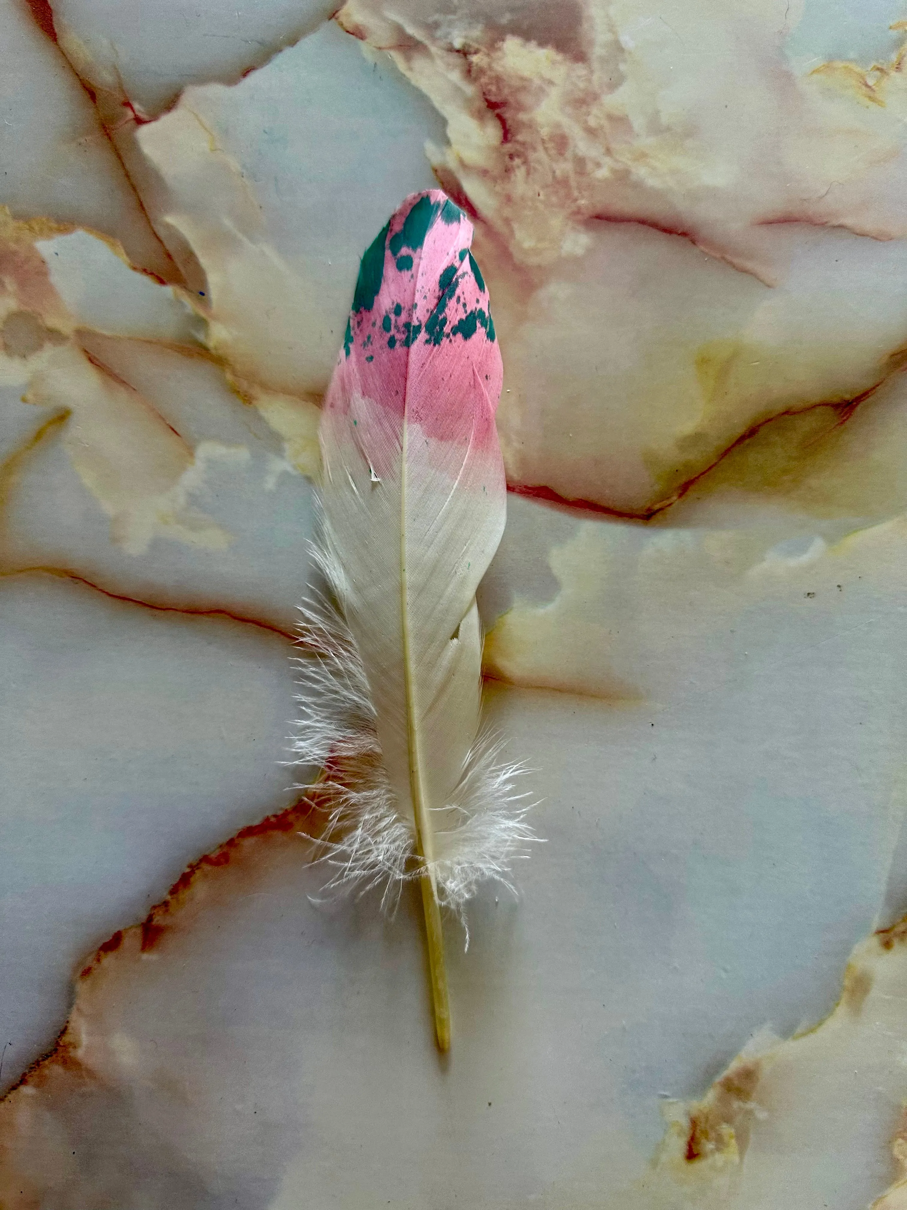 Feather 67