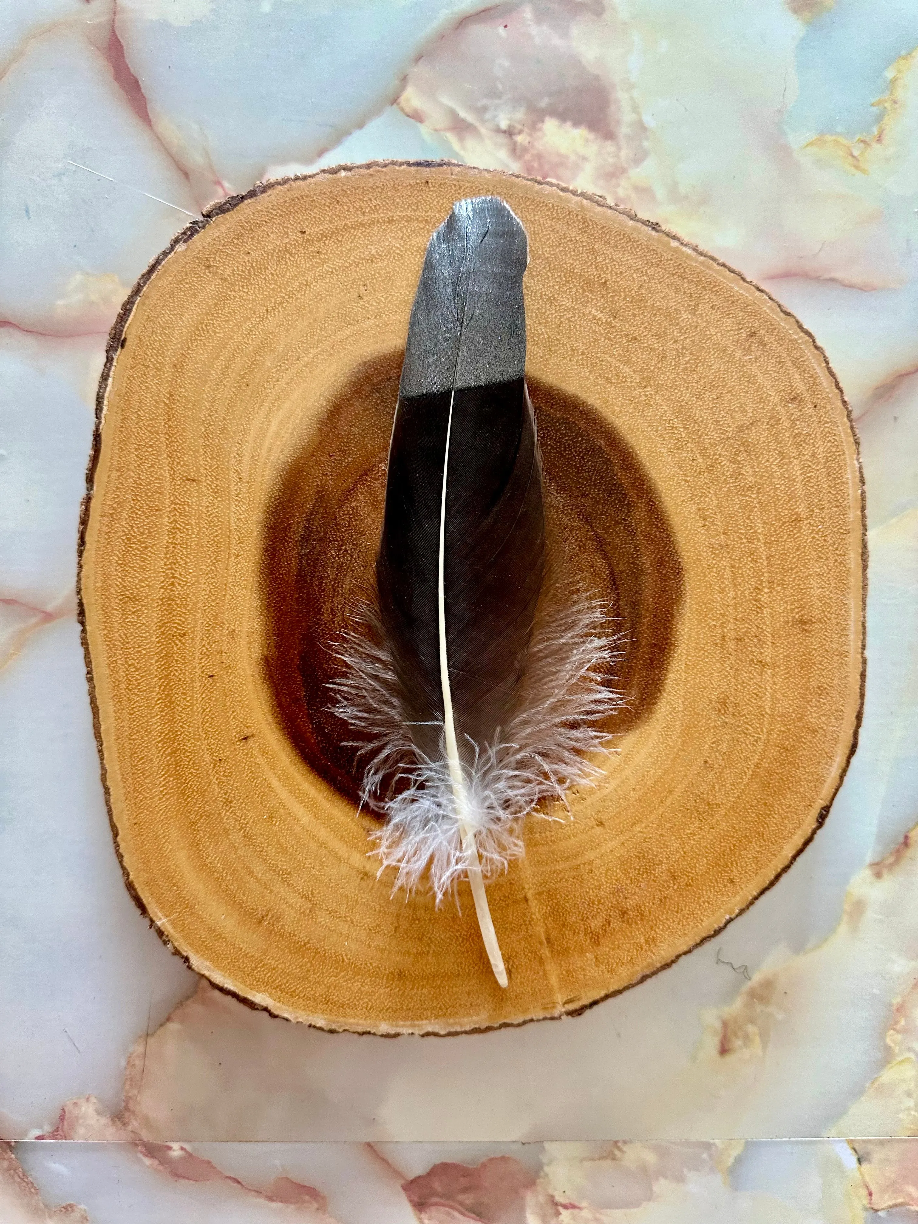 Feather 74