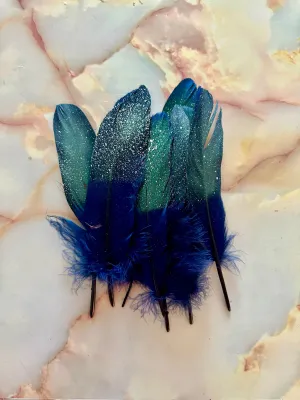 Feather 84