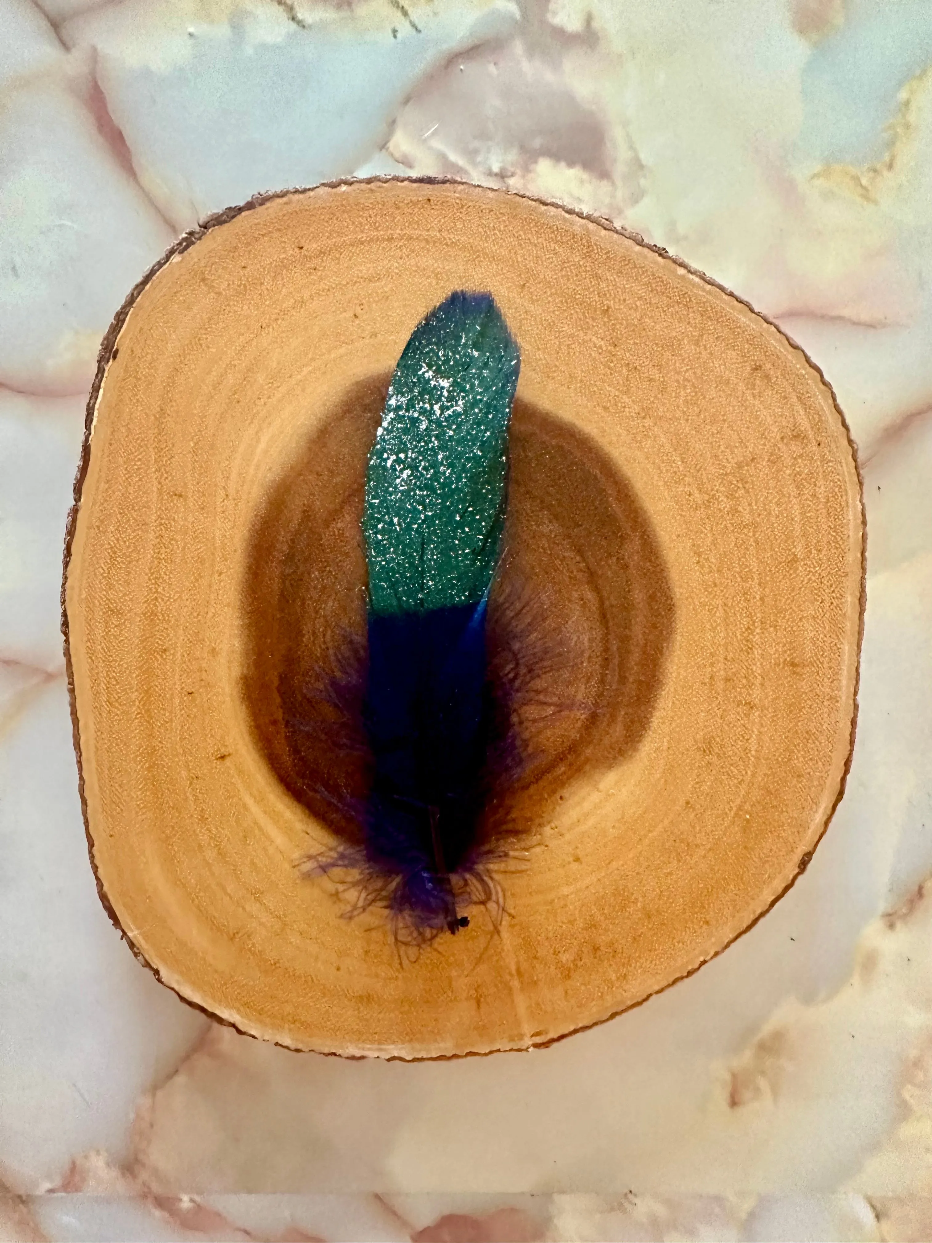 Feather 84