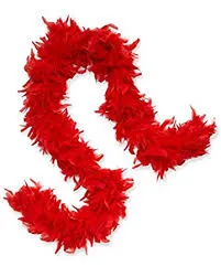 Feather Boa