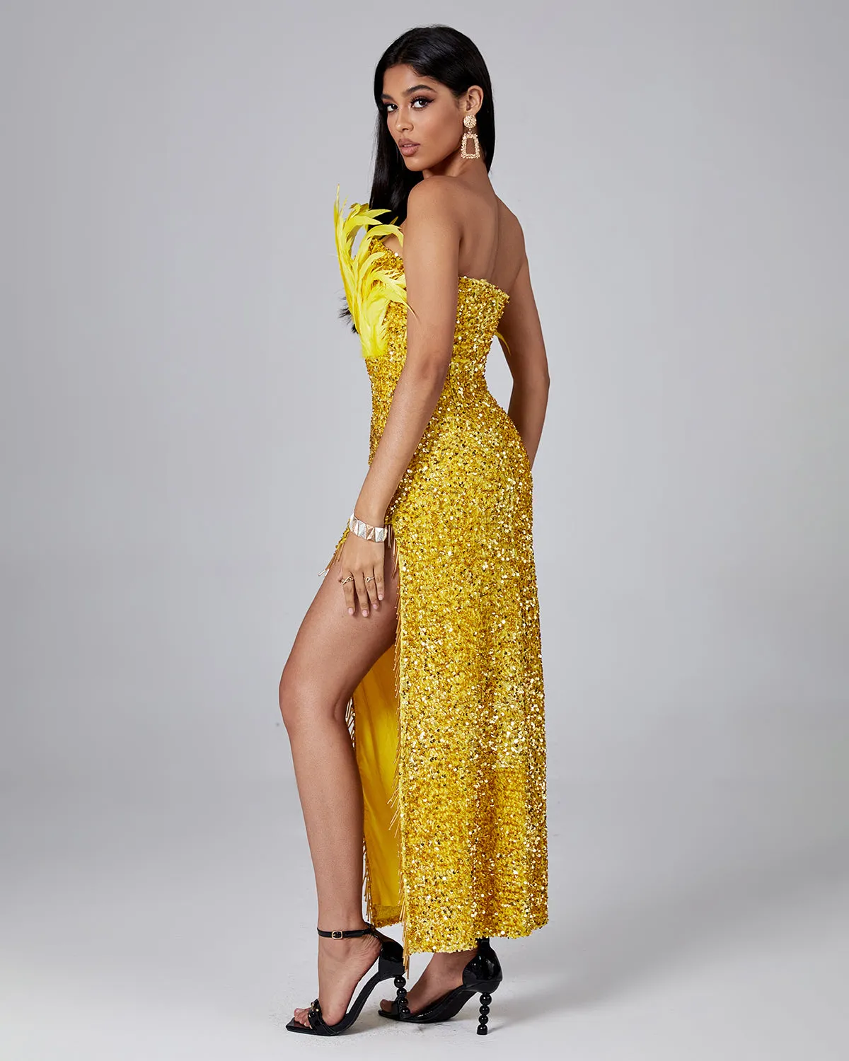 Feather Sequin Maxi Dress