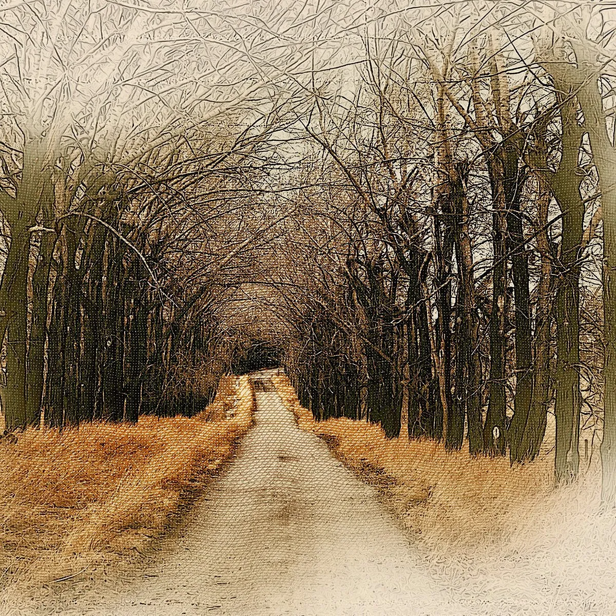 Free MixArt- Photoshop Action
