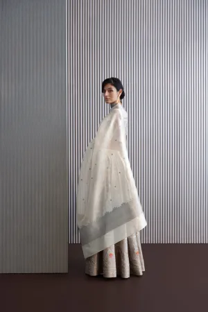 Handwoven Silk Engineered Organza Dupatta