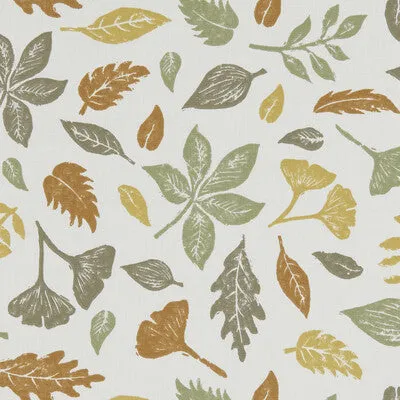 Hawthorn-Autumn