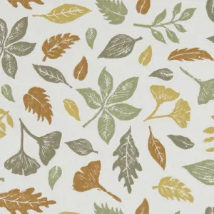 Hawthorn-Autumn