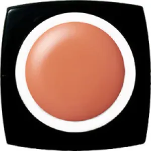 K- E-218 Smoky Persimmon  Color Gel 2.5g