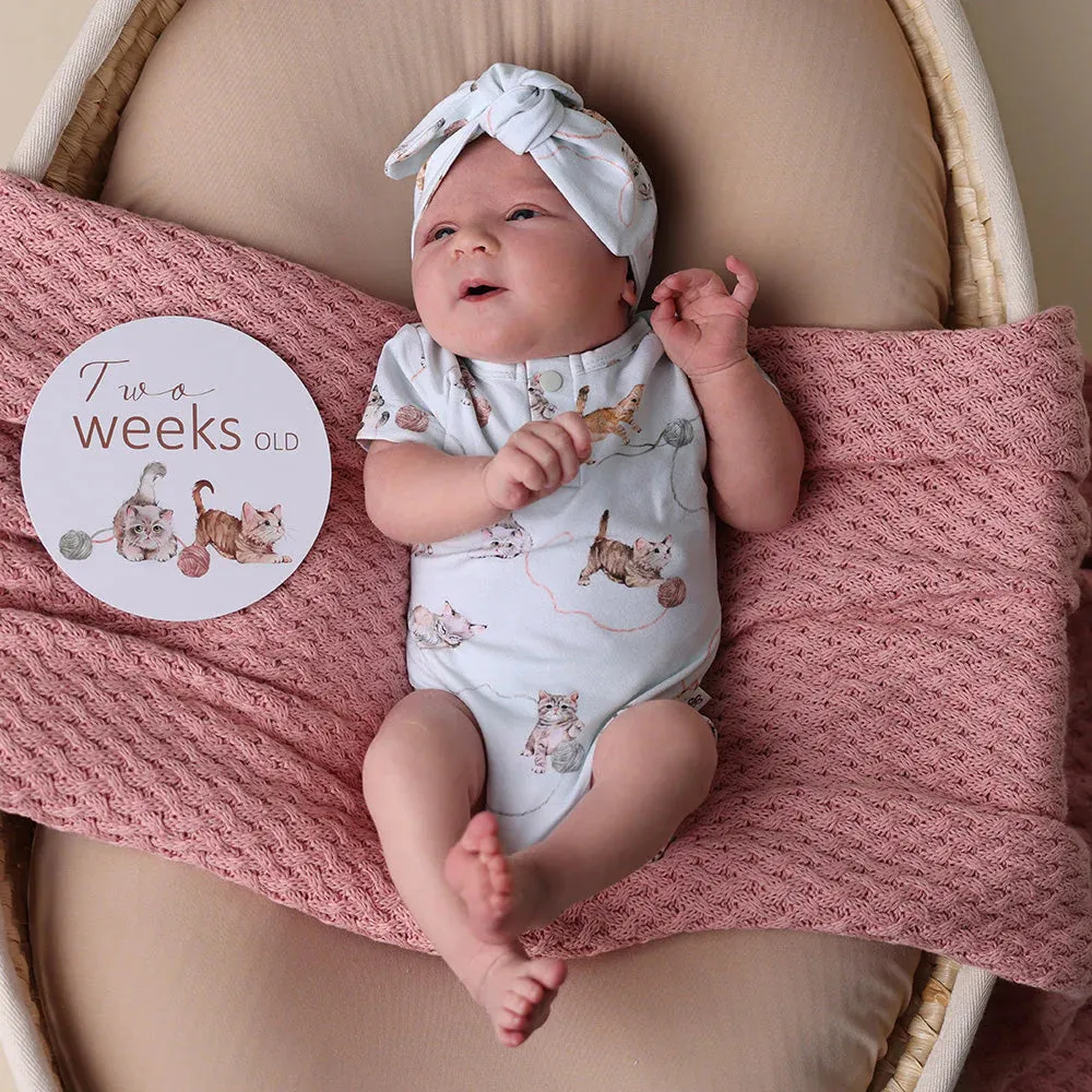 Kittens Short Sleeve Organic Bodysuit