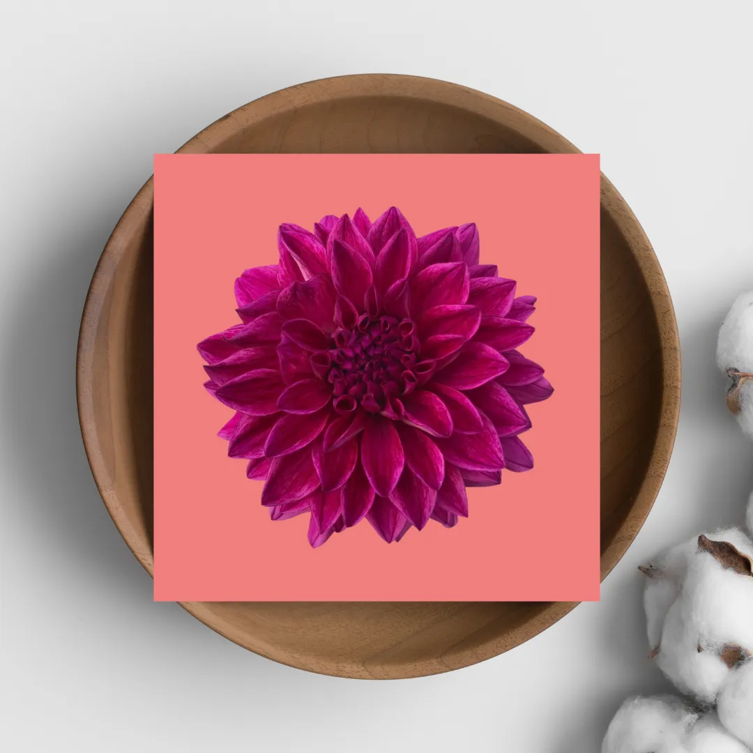 Love Notes - Bright Bouquet